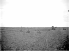 Polesie : zdjęcie krajobrazowe