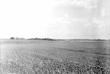 Miejscowość nieokreślona : zdjęcie krajobrazowe