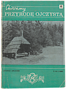 Brzoza ojcowska Betula x oycoviensis i brzoza Szafera Betula szaferi w Beskidzie Wyspowym