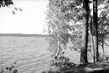 Polesie : zdjęcie krajobrazowe