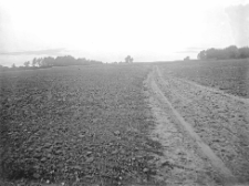 Miejscowość nieokreślona : zdjęcie krajobrazowe