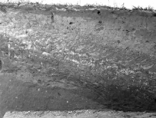 Piekary, powiat Krak&oacute;w : profil wykopu na stanowisku Piekary II