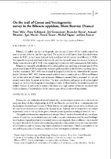 On the trail of Caesar and Vercingetorix: survey in the Bibracte oppidum, Mont Beuvray (France)