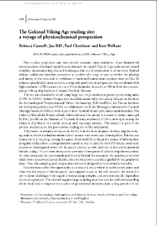 The Gokstad Viking Age trading site: a voyage of physicochemical prospection