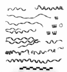spiral band (Skarbienice) - metallographic analysis