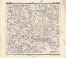 XVIII - 19 : grodnensk. i minsk. gub : slonimsk. i novogrudsk. uězd.