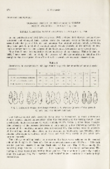 Old-age moult in the common shrew Sorex araneus Linnaeus, 1758; Linka starcza Sorex araneus Linnaeus, 1758