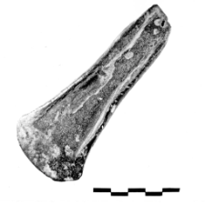 axe (Niemica) - metallographic analysis