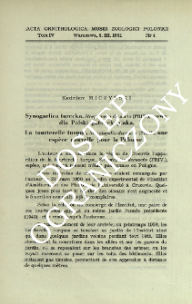 Synogarlica turecka, Streptopelia decaocto (Friv.), nowy dla Polski gatunek ptaka