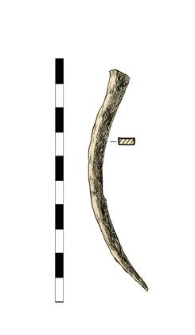 Nail, headless, bent