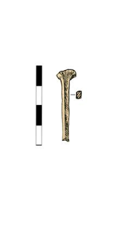 Nail with a head, fragment