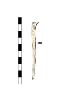 Nail, headless