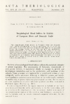Bisoniana XLIII. Morphological blood indices in hybrids of European bison and domestic cattle
