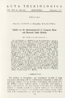 Bisoniana XLIV. Studies on the spermatogenesis in European bison and domestic cattle hybrids