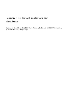 Session S13: Smart materials and structures