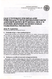 Ekscytotoksyczne działanie pobudzających neurotransmiter&oacute;w aminokwasowych w m&oacute;zgu: rola w patomechanizmie ischemicznego uszkodzenia neuron&oacute;w