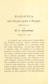 Badania nad rozwojem pączka u skrzyp&oacute;w (Equisetaceae)