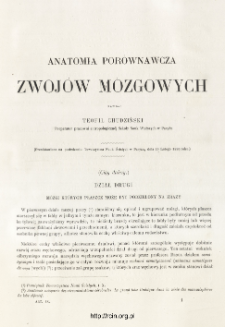 Anatomia por&oacute;wnawcza zwoj&oacute;w m&oacute;zgowych, Część II