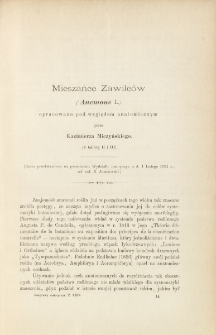 Mieszańce Zawilców (Anemone L.) opracowane pod względem anatomicznym (z tablicą II i III)