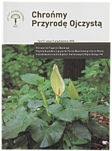 Podgrzybek tęgosk&oacute;rowy Xerocomus parasiticus w Parku Krajobrazowym &bdquo;Dolina Baryczy&rdquo;