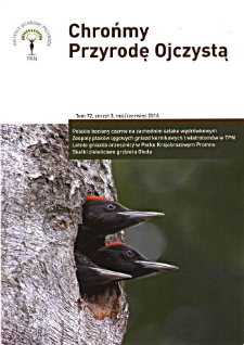 Skałki zieleńcowe grzbietu Okola w G&oacute;rach Kaczawskich (Sudety Zachodnie)