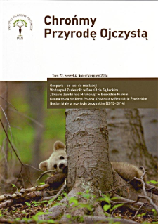 Geopark - od idei do realizacji, ze szczeg&oacute;lnym uwzględnieniem Polski