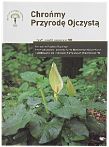 Przeplatka aurinia Euphydryas aurinia w Puszczy Knyszyńskiej