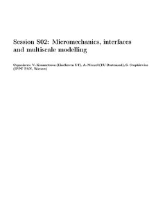 Session S02: Micromechanics, interfacesand multiscale modelling