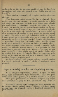 Roje z młodej muchy na niepłodną matkę