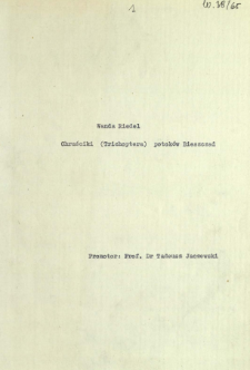 Chruściki (Trichoptera) potok&oacute;w Bieszczad