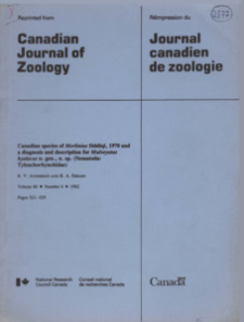 Canadian species of Merlinius Siddiqi, 1970 and a diagnosis and description for Mulveyotus hyalacus n. gen., n. sp. (Nematoda: Tylenchorhynchidae)
