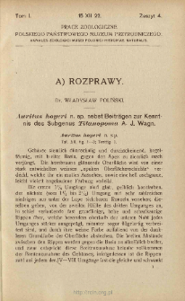 Auritus hoyeri n. sp. nebst Beitr&auml;gen zur Kenntnis des Subgenus Titanopoma A. J. Wagn.