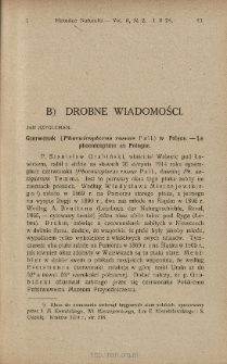 Czerwonak (Phoenicopterus roseus Pall.) w Polsce
