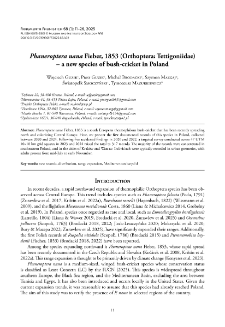 Phaneroptera nana Fieber, 1853 (Orthoptera: Tettigoniidae) &ndash; a new species of bush-cricket in Poland