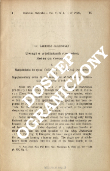 Uwagi o wioślakach (Corixidae)