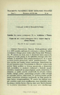 Czaszka Bos taurus primigenius Rutim. wydobyta z Prosny = Cr&acirc;ne de Bos taurus primigenius Rutim. trouv&eacute; dans la rivier&egrave; Prosna