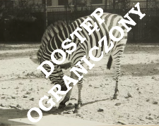 Zoo Lisboa