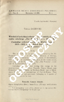 Corixidae collected during the Winter Voyage, 1931-1932, of the Polish Training Ship "Dar Pomorza"