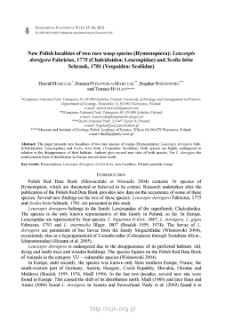 New Polish localities of two rare wasp species (Hymenoptera): Leucospis dorsigera Fabricius, 1775 (Chalcidoidea: Leucospidae) and Scolia hirta Schrank, 1781 (Vespoidea: Scoliidae)