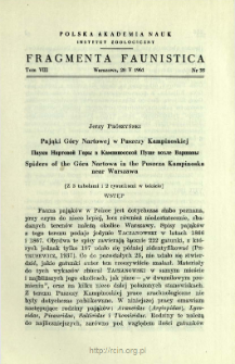 Pająki G&oacute;ry Nartowej w Puszczy Kampinoskiej = Pauki Nartovoj Gory v Kampinosskoj Puŝe vozle Var&scaron;avy