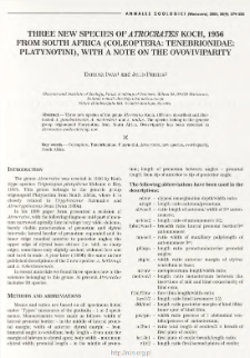 Three new species of Atrocrates Koch, 1956 from South Africa (Coleoptera: Tenebrionidae: Platynotini), with a note on the ovoviviparity