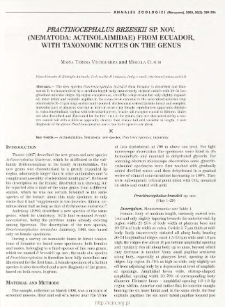 Practinocephalus brzeskii sp. nov. (Nematoda: Actinolaimidae) from Ecuador, with taxonomic notes on the genus