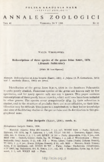 Redescriptions of three species of the genus Icius SIMON, 1876 (Aranei: Salticidae)