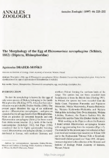 The morphology of the egg of Rhinomorinia sarcophagina (Schiner, 1862) (Diptera, Rhinophoridae)