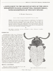 A supplement to the recent review of the genus Endomychus panzer (Coleoptera: Endomychidae), with descriptions of two new species