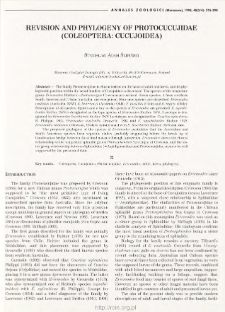 Revision and phylogeny of Protocucujidae (Coleoptera: Cucujoidea)