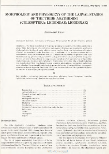 Morphology and phylogeny of the larval stages of the tribe Agathidiini (Coleoptera: Leiodidae: Leiodinae)