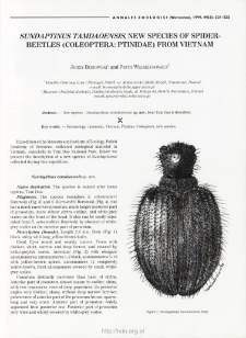 Sundaptinus tamdaoensis, new species of spider-beetles (Coleoptera: Ptinidae) from Vietnam
