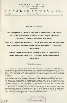 The Descriptions of larvae of Colymbetes dolabratus (PAYK.) with keys to the identification of larvae of the European species of Colymbetes CLAIRV. (Coleoptera, Dytiscidae) = Opisy larw Colymbetes dolabratus (PAYK.) wraz z kluczami do oznaczania larw europejskich gatunk&oacute;w rodzaju Colymbetes CLAIRV. (Coleoptera, Dytiscidae)