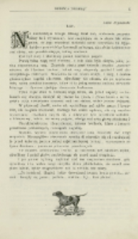 Łzy [Obrońca zwierząt. Rok 1 nr 2]